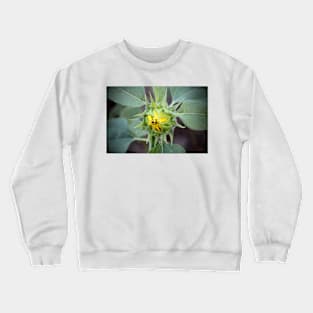 Sunflower Bud Crewneck Sweatshirt